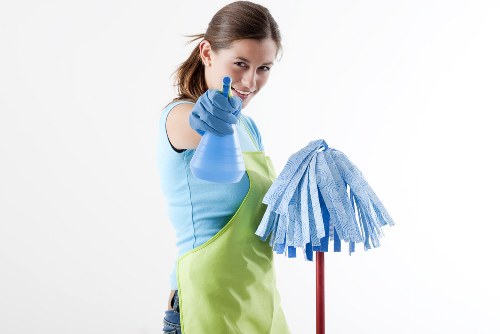 Professional pet stain odour removal in a Feltham home carpet