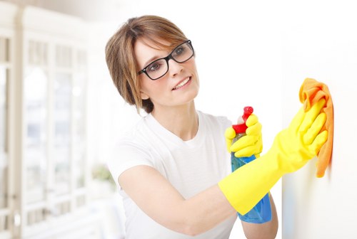 Pet hair and stain removal from a sofa