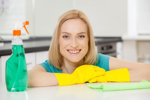 SSL encrypted Feltham Carpet Cleaners payment process on a secure screen