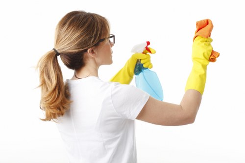Cleaner restoring carpet fibres with steam carpet cleaning equipment