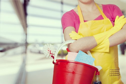 Deep pet odour treatment for carpets and rugs in Feltham