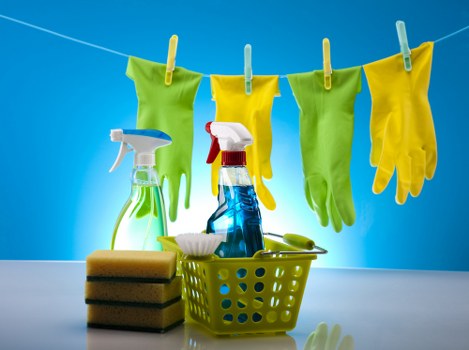 Enzymatic cleaning for pet stains and smells in Feltham